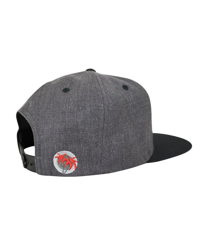 Back view of the Choo Choo Patch flatbill snapback hat showing the embroidered logo and grey fabric.