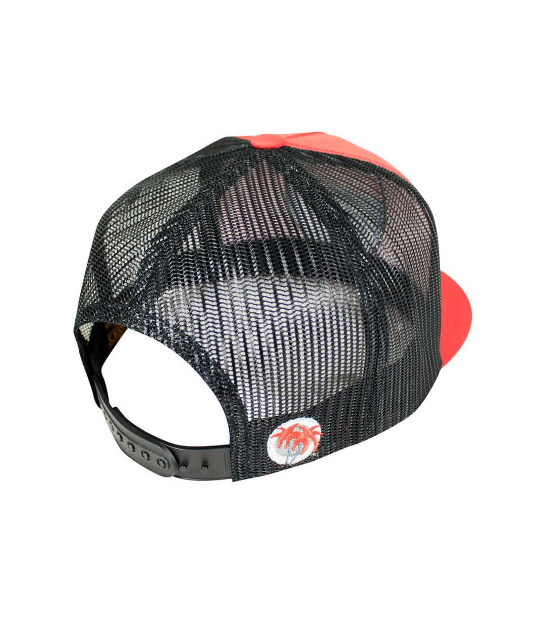 Back view of NICERIDE&