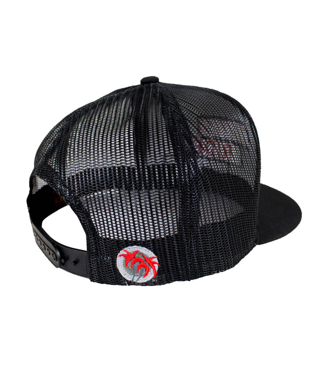 Back view of &