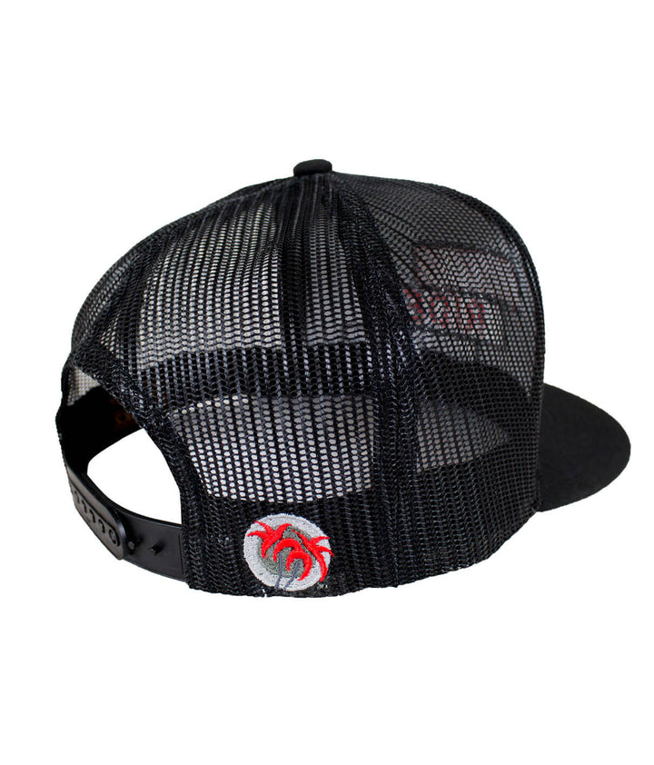 Back view of &