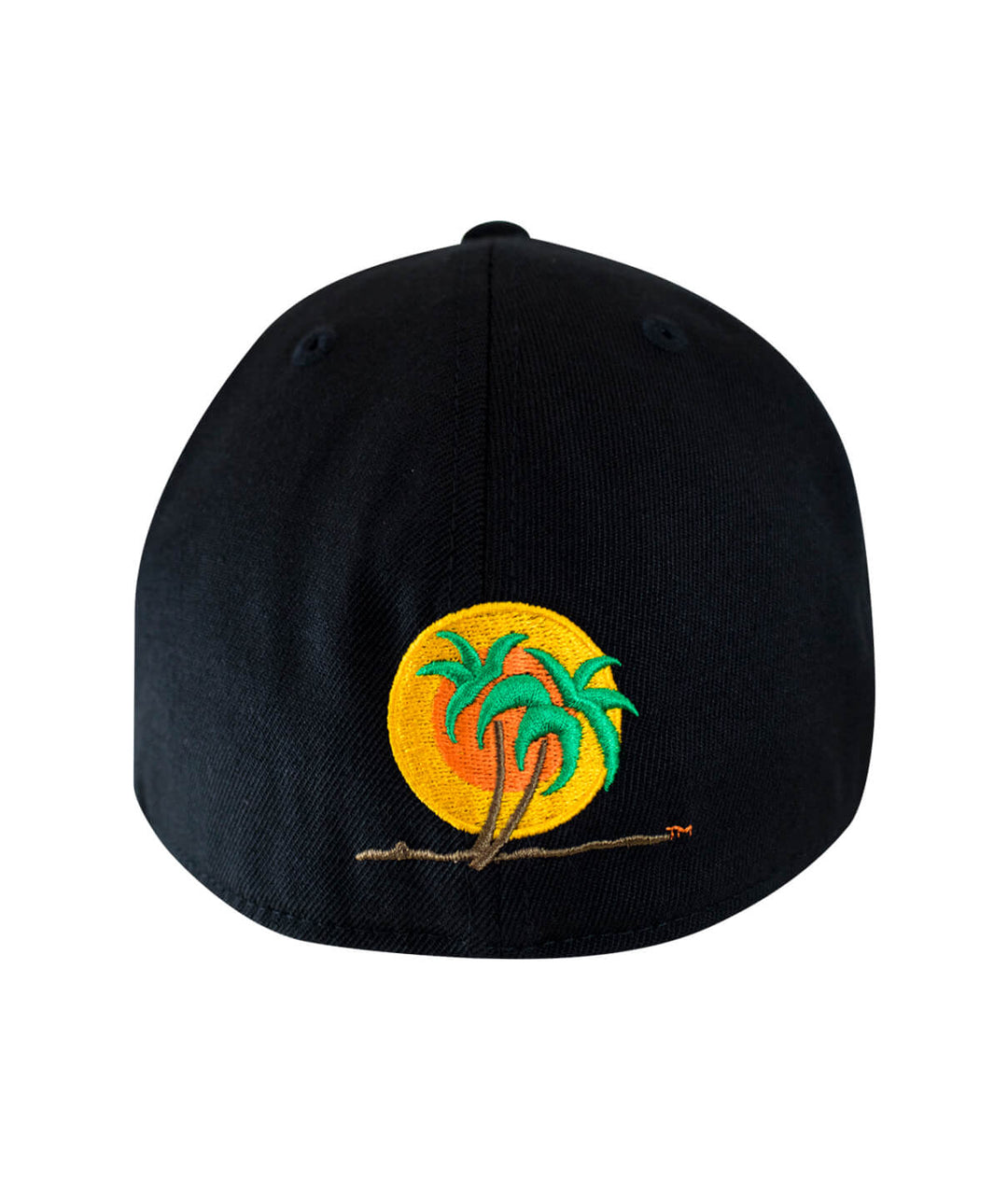Back view of Classic NICERIDE 210F fitted hat featuring colorful palm logo and sun embroidery.