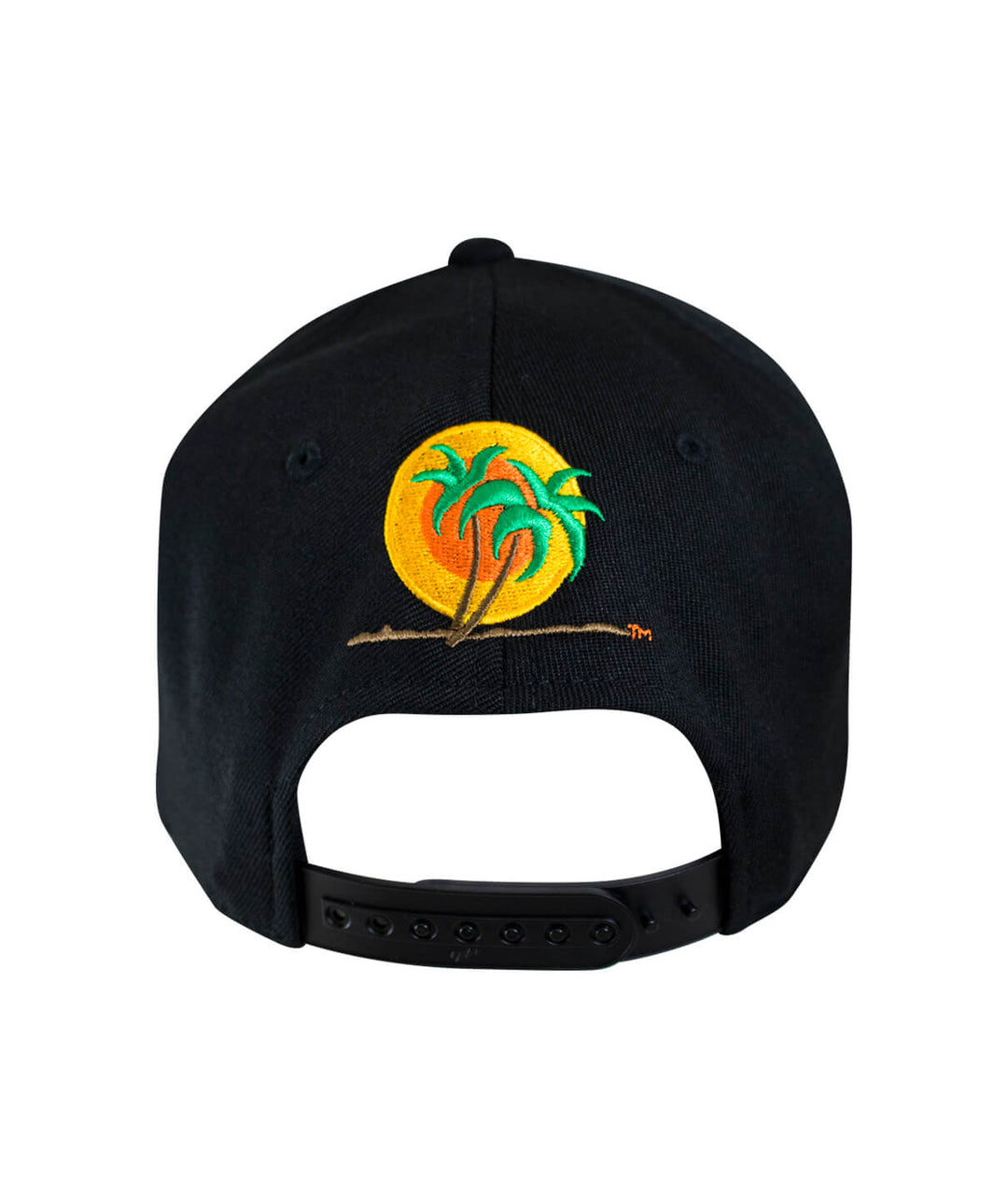 Back view of Classic NICERIDE 110F Snapback hat with palm logo embroidered on black fabric.