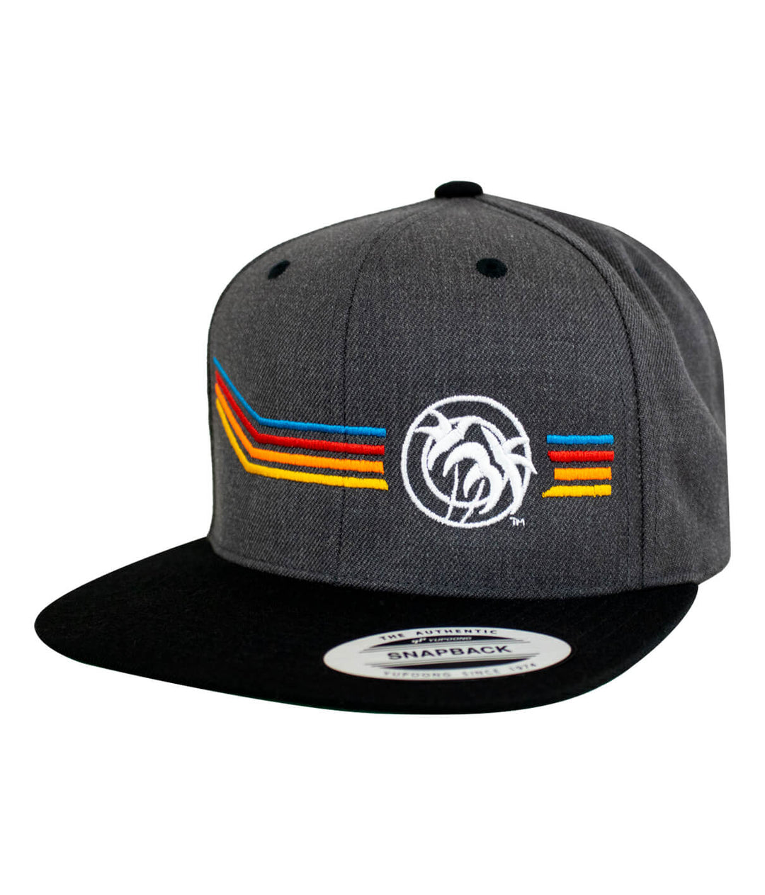 Unisex adjustable snapback hat featuring bold Aquarius design and colorful stripes on gray fabric.